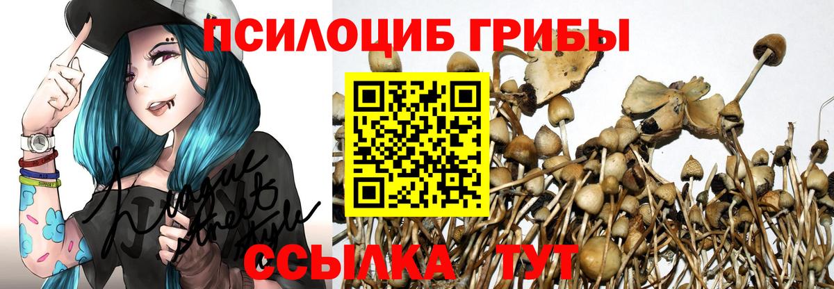 Губаха  Галлюциногенные грибы мицелий  Вход с VPN 